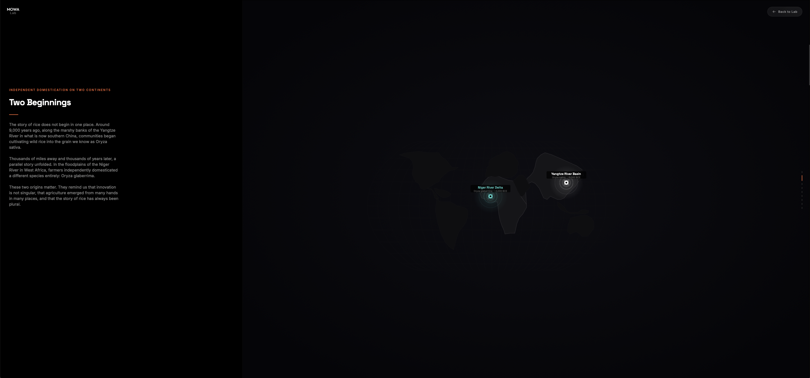 The Journey of Rice - Origins