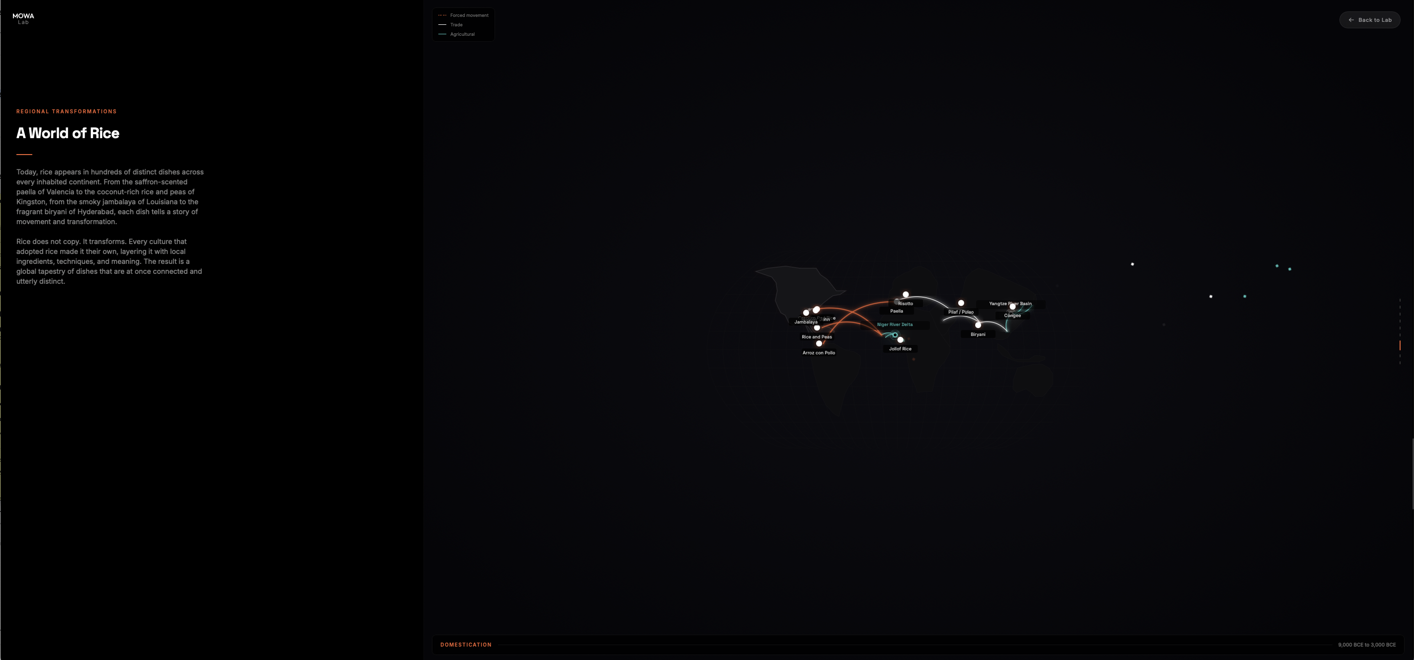 The Journey of Rice - Data visualisation