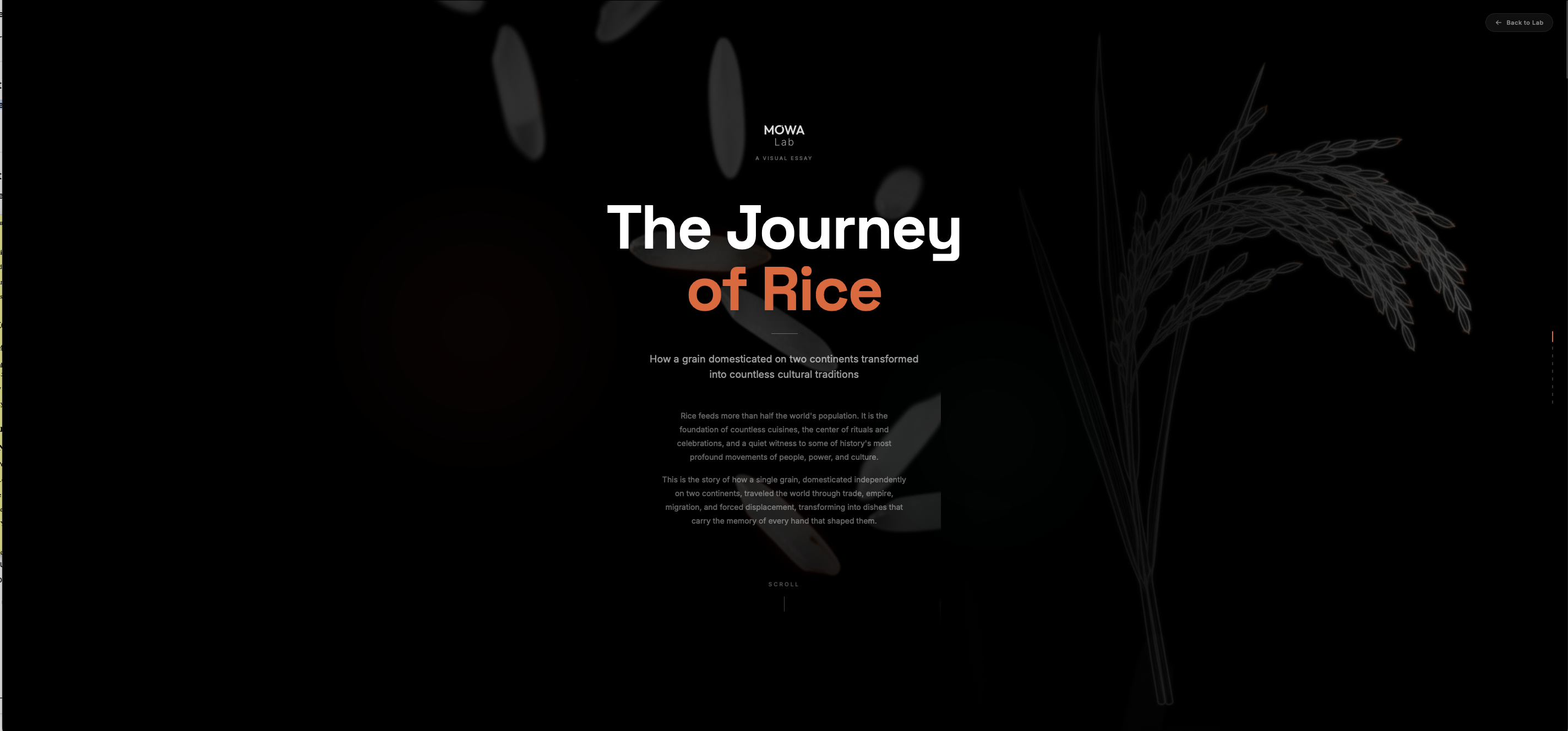 The Journey of Rice